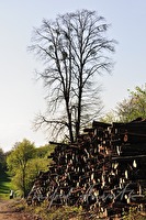 xb0017432