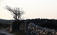 xb0018419