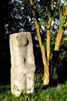 xb0019378