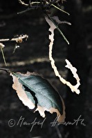 xb0020826