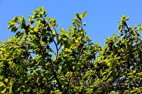 xb0022628