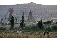 xb0026688
