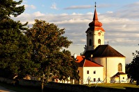 xb0031519