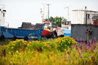 xb0048129