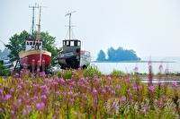 xb0048147
