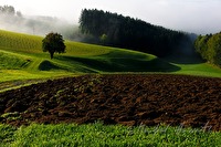 xb0053877