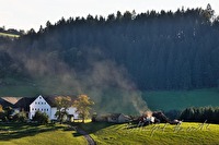 xb0054597