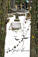 xb0063936