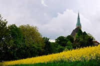 xb0082219