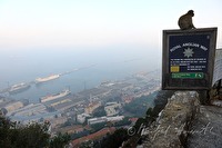 xb0091508