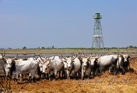 xb0093711