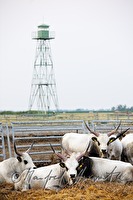 xb0093738