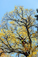 xb0103778