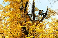 xb0104040