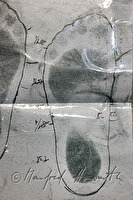 xb0117634