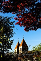 xb0123981