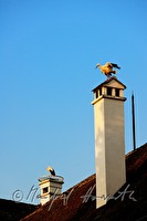 xb0135550