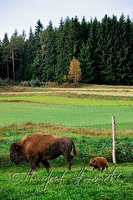 xb0149975