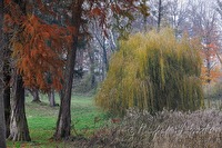 xb0155369