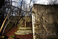 xb0159550