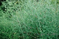 xb0182021