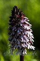 xc0022778